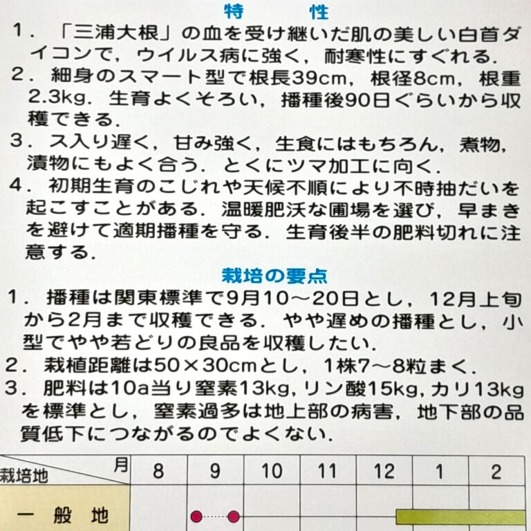 daikon004