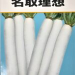 daikon005