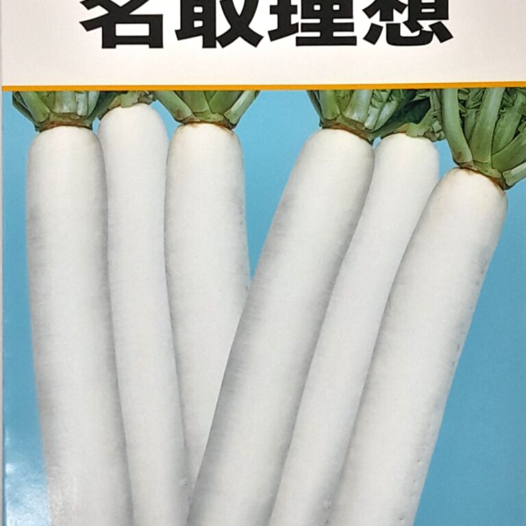 daikon005