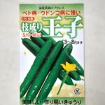 kyuuri003
