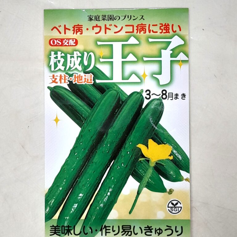 kyuuri003