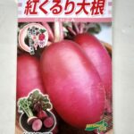 daikon007