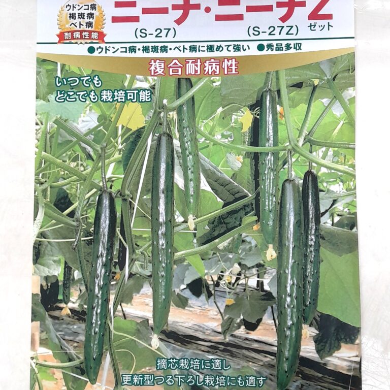 kyuuri004