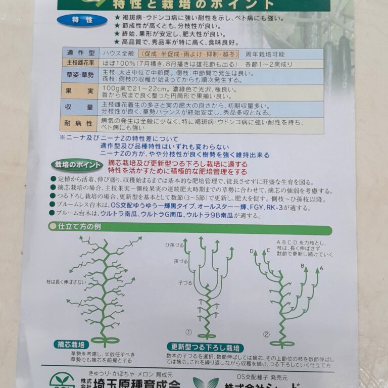 kyuuri004