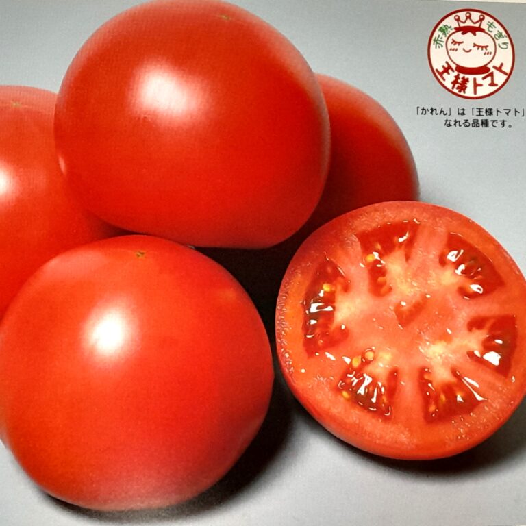 tomato001