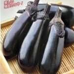 nasu006