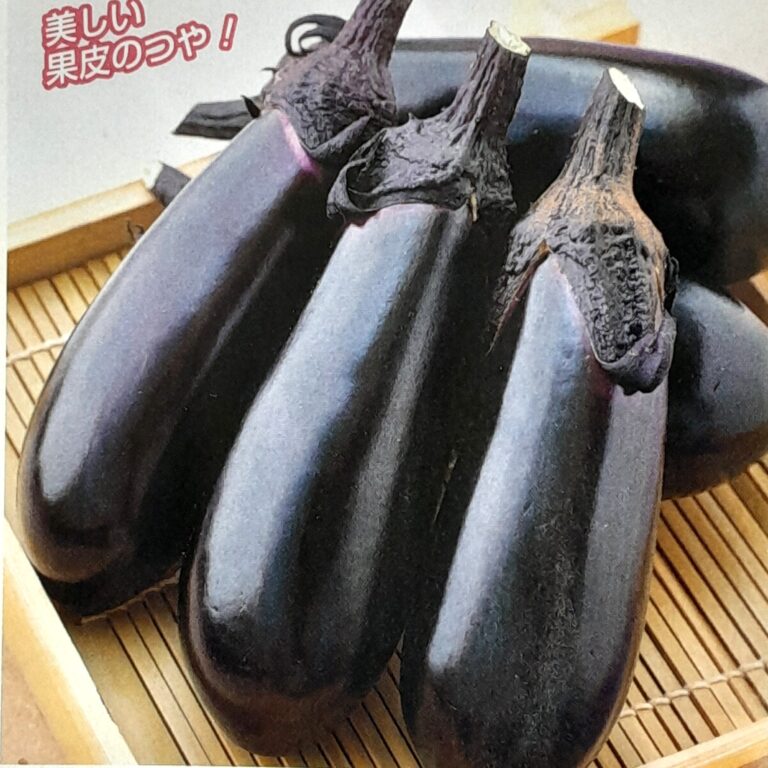 nasu006