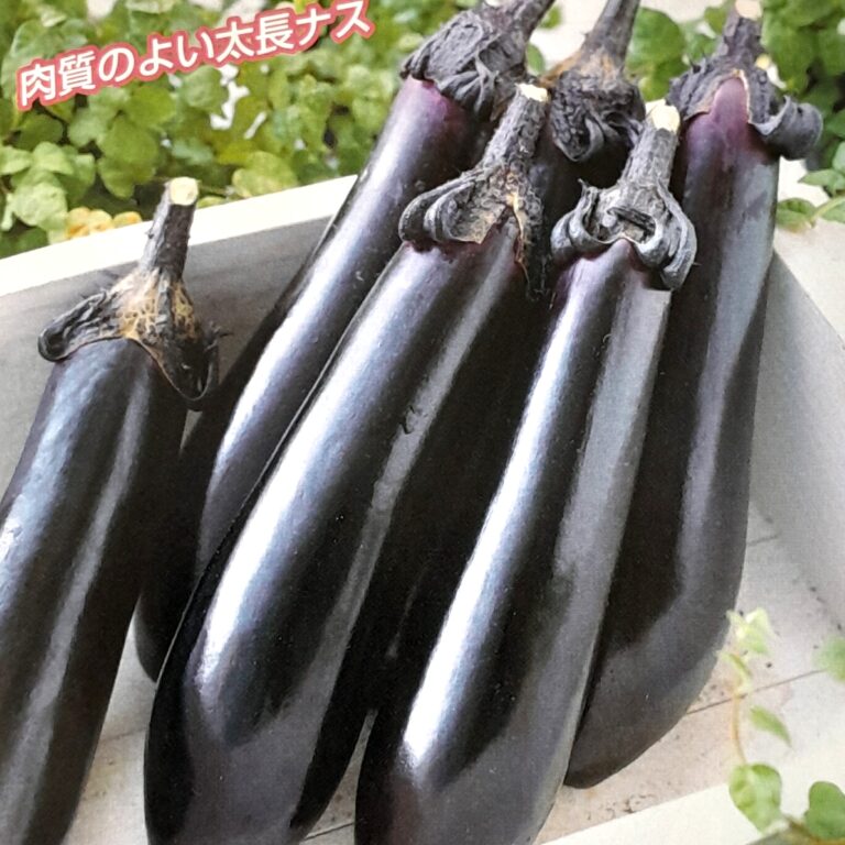 nasu007