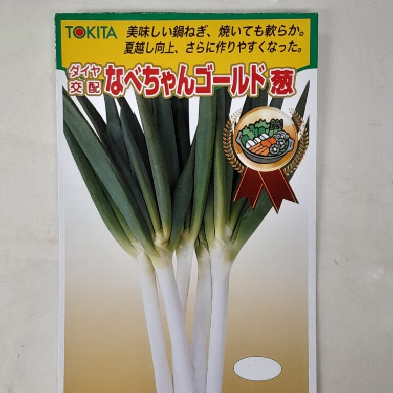 negi008