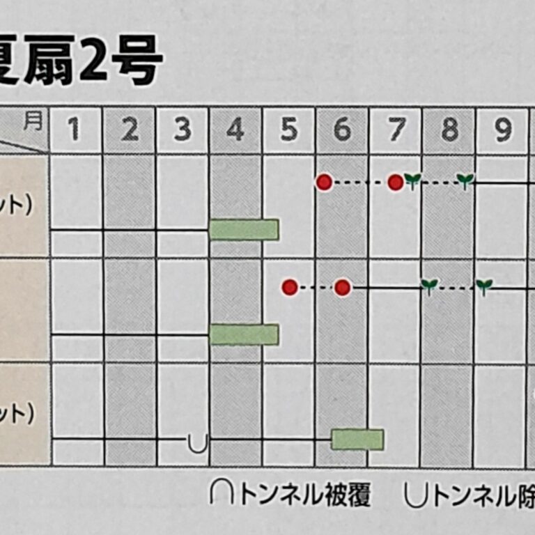 negi010