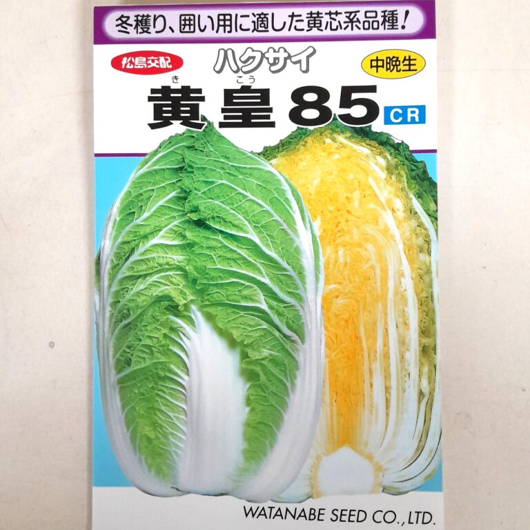 hakusai006