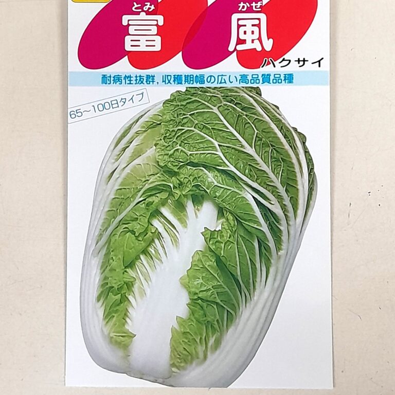 hakusai007