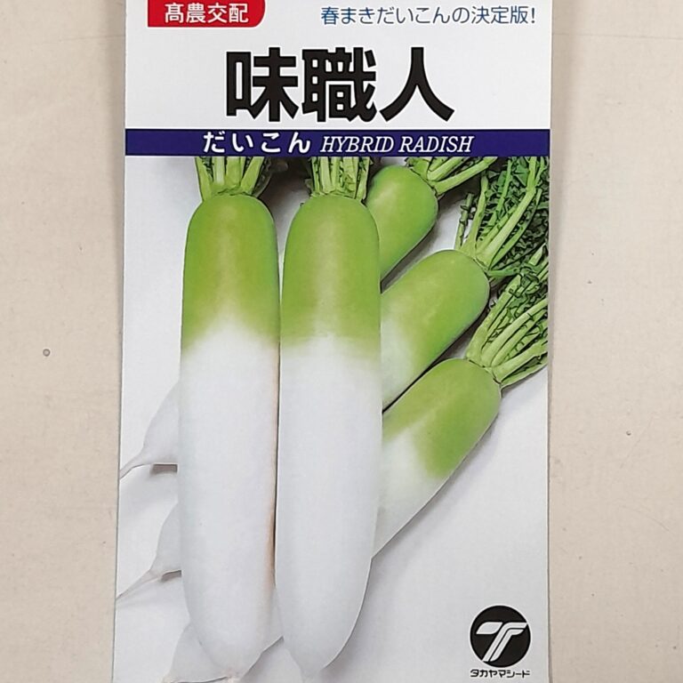 daikon010
