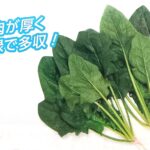 hourensou009