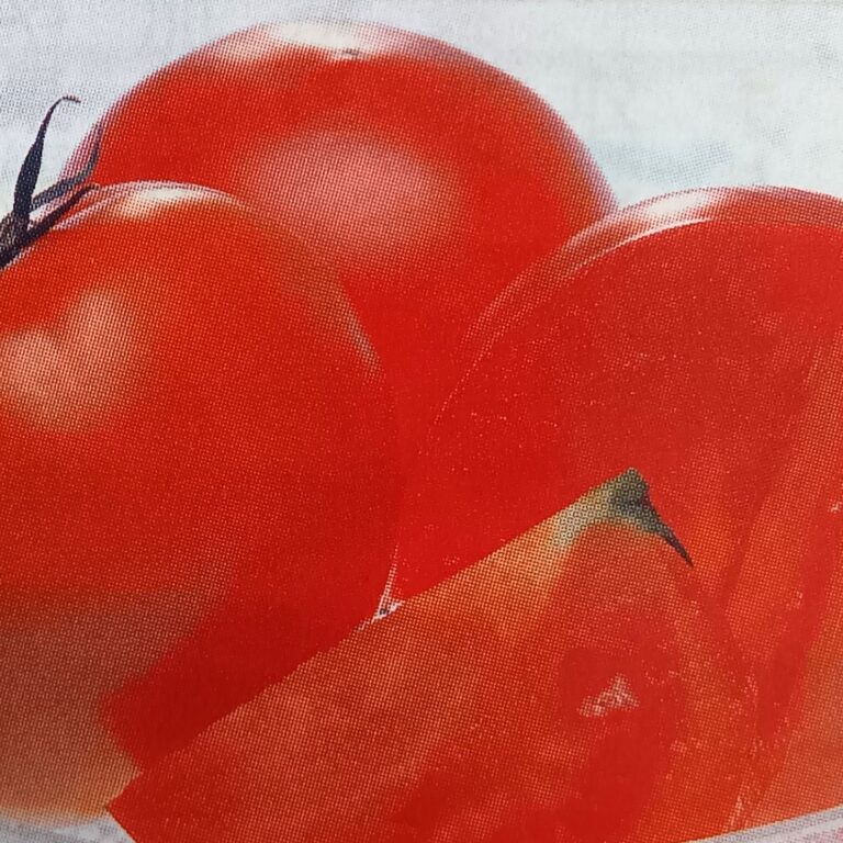 tomato008