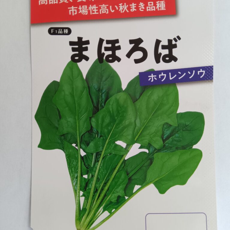 hourensou011