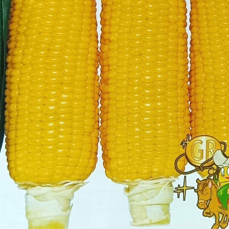 corn007