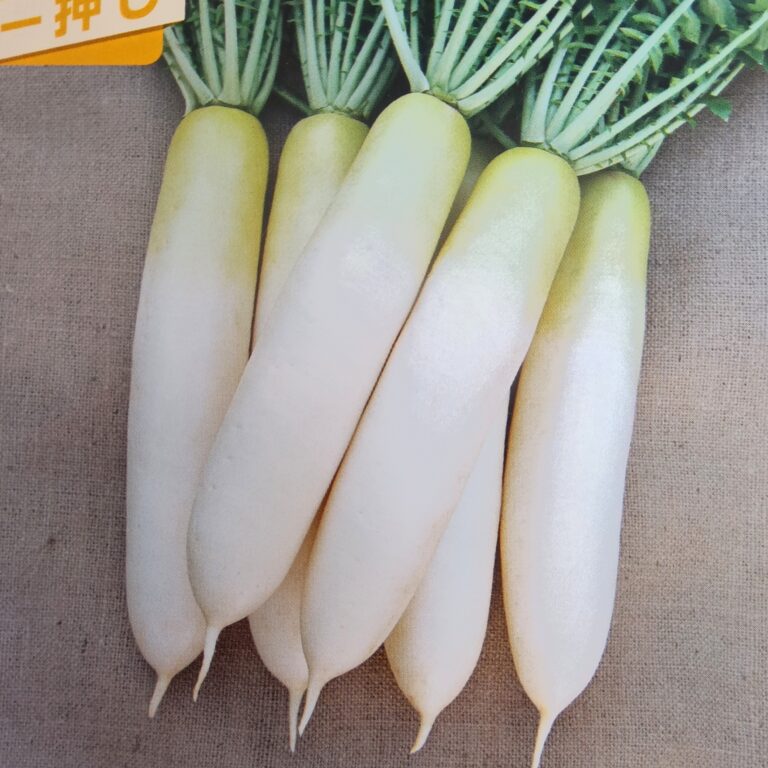 daikon011