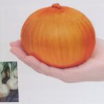 tamanegi004