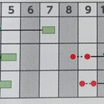 tamanegi004