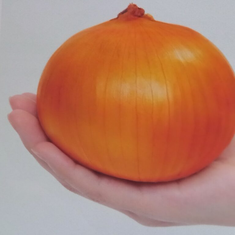 tamanegi005