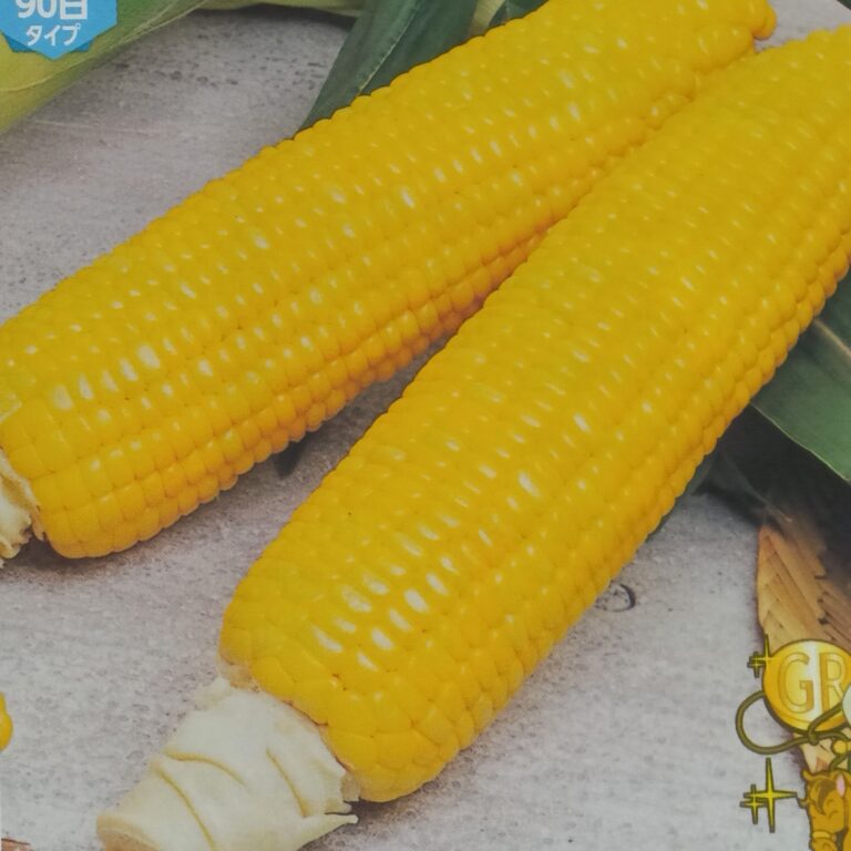 corn008