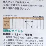 komatuna008