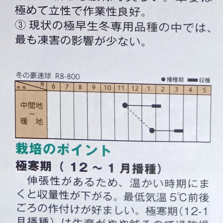 komatuna008